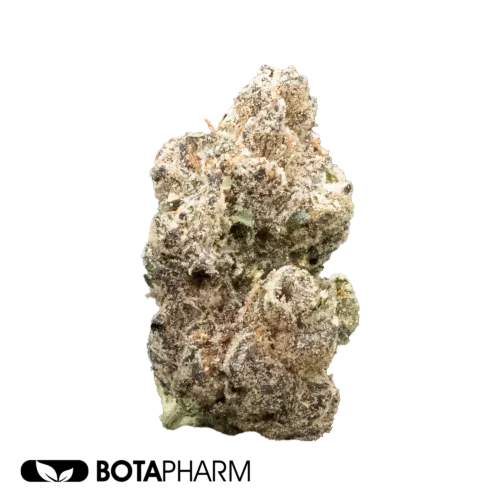 Biscotti Menthol - Botapharm